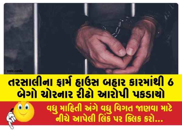 MailVadodara.com - A-habitual-offender-who-stole-6-bags-from-a-car-outside-a-farmhouse-in-Tarsali-has-been-arrested