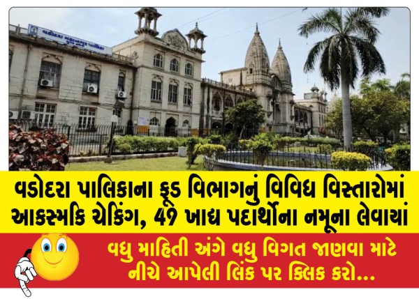 MailVadodara.com - Food-Department-conducted-random-checks-in-various-areas-samples-of-49-food-items-were-taken