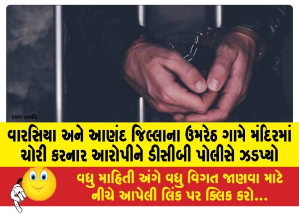 MailVadodara.com - DCB-police-nab-accused-of-stealing-from-temple-in-Umreth-village-of-Warsia-and-Anand-districts