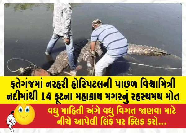 MailVadodara.com - Mysterious-death-of-a-14-foot-giant-crocodile-from-the-Vishwamitri-River-behind-Narhari-Hospital-in-Fatehganj