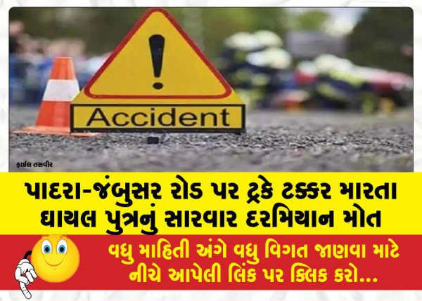 MailVadodara.com - Son-injured-in-truck-collision-on-Padra-Jambusar-road-dies-during-treatment