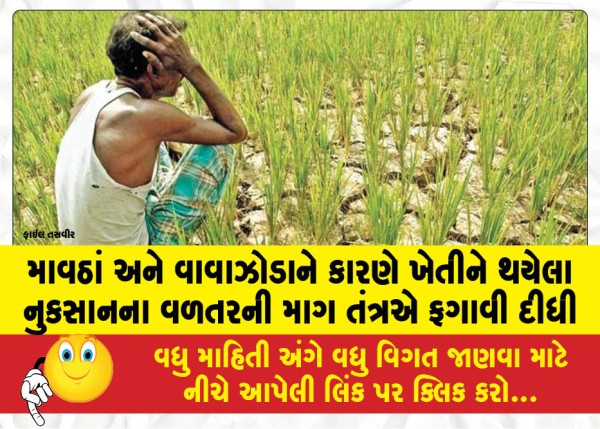 MailVadodara.com - The-administration-rejected-the-demand-for-compensation-for-damage-to-agriculture-due-to-floods-and-storms