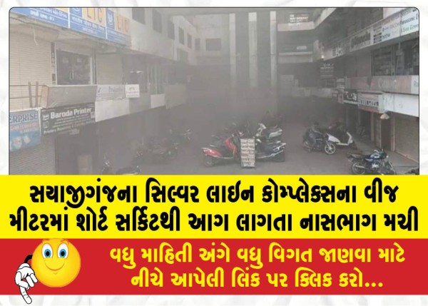 MailVadodara.com - A-stampede-broke-out-after-a-fire-broke-out-in-the-electricity-meter-of-Sayajiganjs-Silver-Line-Complex-due-to-a-short-circuit