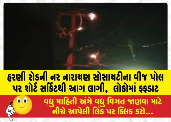 MailVadodara.com - Fire-broke-out-due-to-short-circuit-on-the-electricity-pole-of-Nar-Narayan-Society-on-Harni-Road-causing-panic-among-the-people