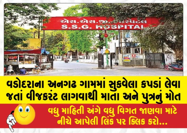 MailVadodara.com - Mother-and-son-die-of-electrocution-while-going-to-pick-up-clothes-to-dry-in-Vadodaras-Anagadh-village