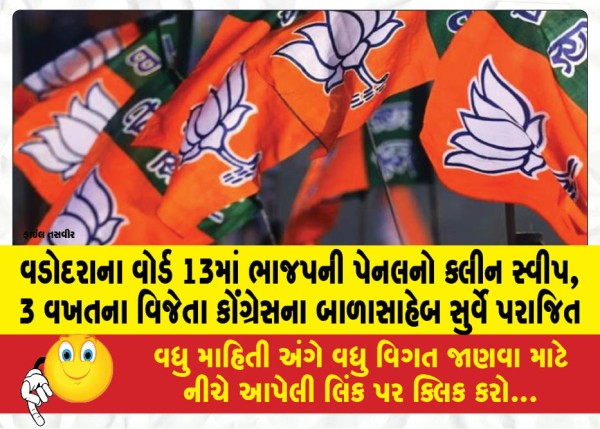 MailVadodara.com - BJP-panel-gets-clean-sweep-in-Ward-13-of-Vadodara-defeats-3-time-winner-Balasaheb-Surve-of-Congress