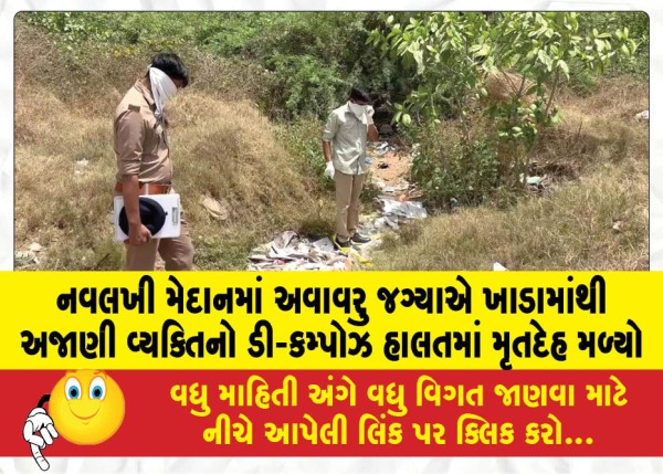 MailVadodara.com - The-decomposed-body-of-an-unknown-person-was-found-in-a-pit-in-an-uninhabited-place-in-Navlakhi-Maidan