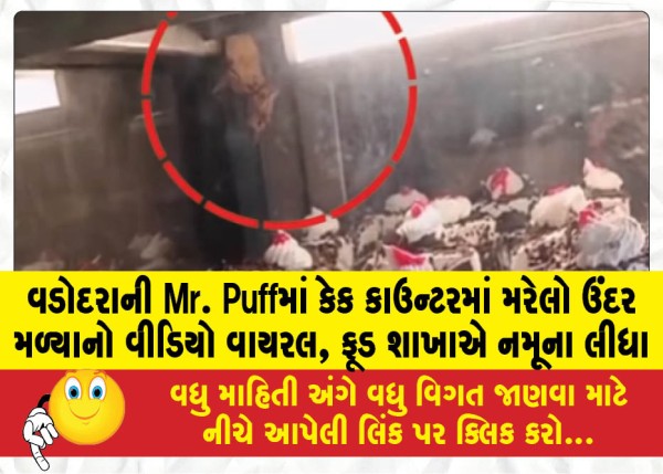 MailVadodara.com - Video-of-dead-rat-found-in-cake-counter-at-Mr-Puff-in-Vadodara-goes-viral-food-branch-takes-samples