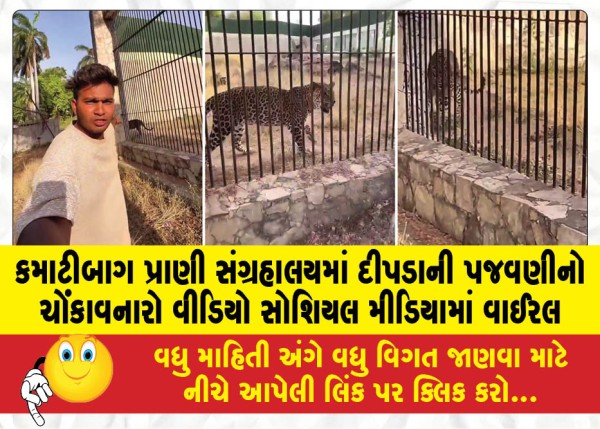 MailVadodara.com - Shocking-video-of-leopard-being-harassed-at-Kamatibaug-Zoo-goes-viral-on-social-media