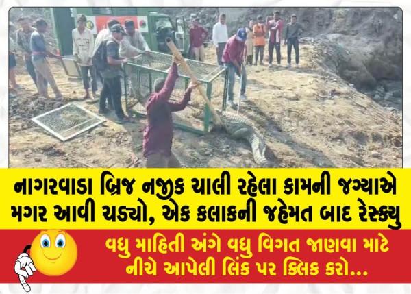 MailVadodara.com - Crocodile-entered-the-work-site-near-Nagarwada-Bridge-rescued-after-an-hour-of-struggle