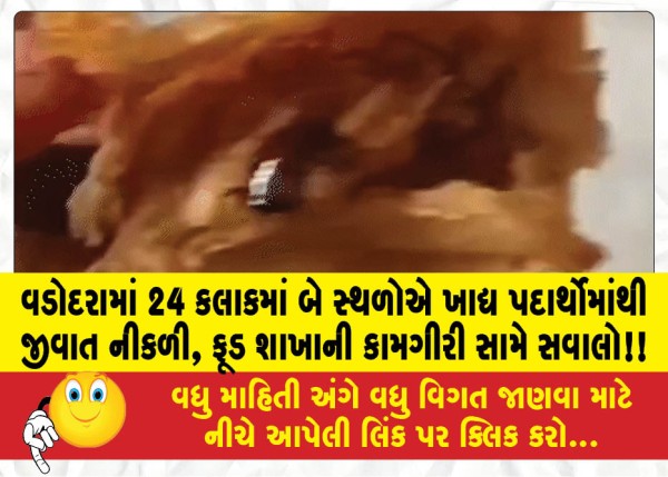 MailVadodara.com - Insects-found-in-food-items-at-two-places-in-Vadodara-in-24-hours-questions-raised-about-the-functioning-of-the-food-branch