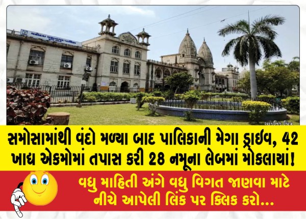 MailVadodara.com - After-cockroaches-were-found-in-samosas-the-municipality-conducted-a-mega-drive-inspected-42-food-units-and-sent-28-samples-to-the-lab