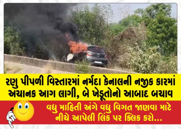 MailVadodara.com - A-car-suddenly-caught-fire-near-Narmada-Canal-in-Ranu-Pipli-area-two-farmers-were-rescued-safely