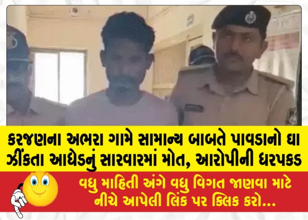 MailVadodara.com - Middle-aged-man-dies-during-treatment-after-being-stabbed-with-a-shovel-in-Abhara-village-of-Karjan-accused-arrested