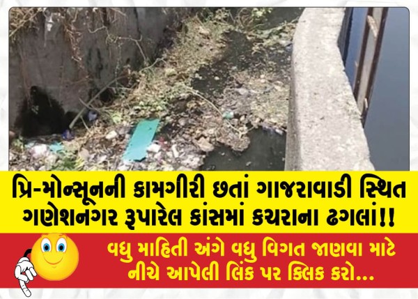 MailVadodara.com - Despite-pre-monsoon-work-piles-of-garbage-remain-in-Ganeshnagar-Ruparel-Kans-located-in-Gajarawadi