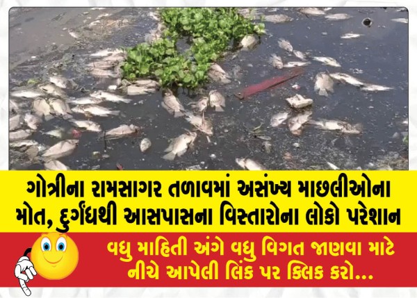 MailVadodara.com - Numerous-fish-die-in-Ramsagar-Lake-in-Gotri-people-in-the-surrounding-areas-are-troubled-by-the-stench