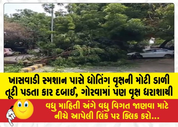 MailVadodara.com - A-large-branch-of-a-Dhoting-tree-fell-near-Khaswadi-crematorium-crushing-a-car-a-tree-also-fell-in-Gorwa