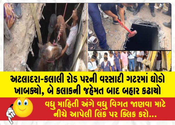 અટલાદરા-કલાલી રોડ પરની વરસાદી ગટરમાં ઘોડો ખાબક્યો, બે કલાકની જહેમત બાદ બહાર કઢાયો
