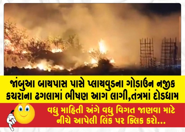 MailVadodara.com - A-massive-fire-broke-out-in-a-garbage-dump-near-a-plywood-godown-near-Jambua-Bypass-causing-a-stir-in-the-system