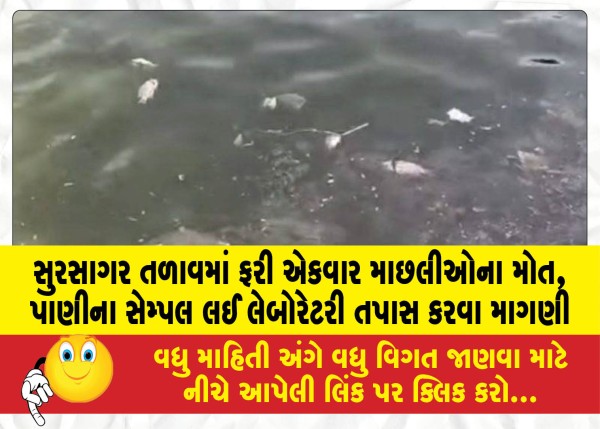 MailVadodara.com - Fish-deaths-once-again-in-Sursagar-Lake-demand-for-laboratory-testing-of-water-samples