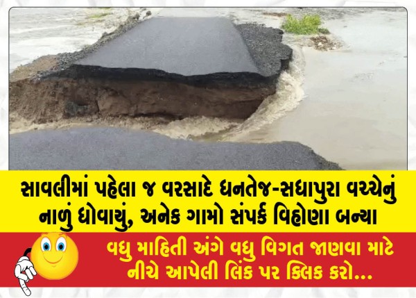 સાવલીમાં પહેલા જ વરસાદે ધનતેજ-સધાપુરા વચ્ચેનું નાળું ધોવાયું, અનેક ગામો સંપર્ક વિહોણા બન્યા