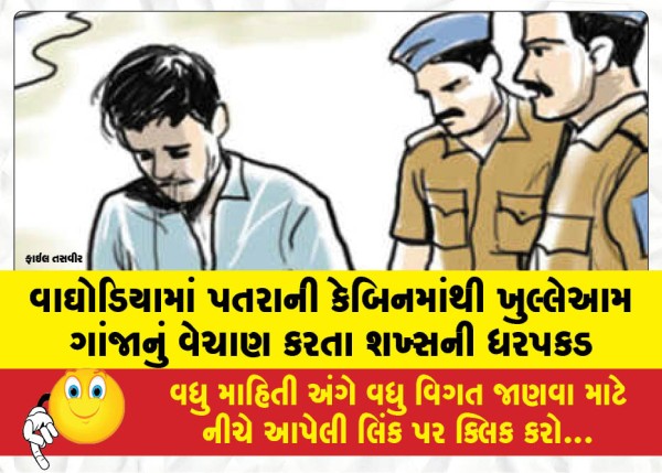 MailVadodara.com - Man-arrested-for-openly-selling-ganja-from-a-cabin-in-Waghodia