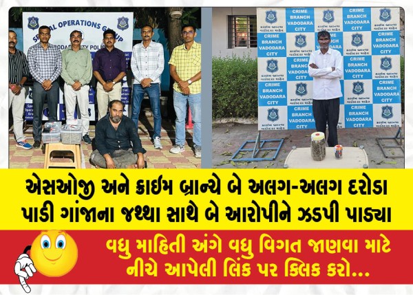એસઓજી અને ક્રાઇમ બ્રાન્ચે બે અલગ-અલગ દરોડા પાડી ગાંજાના જથ્થા સાથે બે આરોપીને ઝડપી પાડ્યા