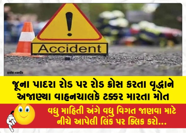 MailVadodara.com - An-elderly-man-was-killed-after-being-hit-by-an-unknown-vehicle-while-crossing-the-road-on-Juna-Padra-Road