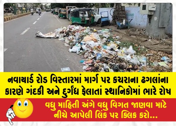 MailVadodara.com - Locals-are-furious-over-the-filth-and-foul-odor-caused-by-piles-of-garbage-on-the-road-in-the-Navayard-Road-area