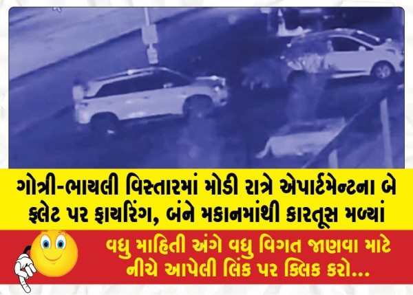 ગોત્રી-ભાયલી વિસ્તારમાં મોડી રાત્રે એપાર્ટમેન્ટના બે ફ્લેટ પર ફાયરિંગ, ગોળી બાલ્કનીનો કાચ તોડી લાકડાના દરવાજાને પાર થઈ ગઇ હતી