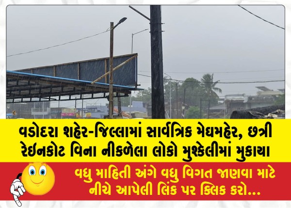વડોદરા શહેર-જિલ્લામાં સાર્વત્રિક મેઘમહેર, છત્રી રેઇનકોટ વિના નીકળેલા લોકો મુશ્કેલીમાં મુકાયા
