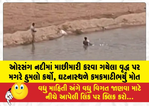 ઓરસંગ નદીમાં માછીમારી કરવા ગયેલા વૃદ્ધ પર મગરે હુમલો કર્યો, ઘટનાસ્થળે કમકમાટીભર્યું મોત