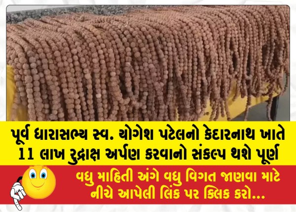 પૂર્વ ધારાસભ્ય સ્વ. યોગેશ પટેલનો કેદારનાથ ખાતે 11 લાખ રુદ્રાક્ષ અર્પણ કરવાનો સંકલ્પ થશે પૂર્ણ