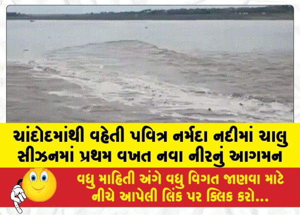 MailVadodara.com - Arrival-of-fresh-waters-in-the-holy-Narmada-River-flowing-through-Chandod-for-the-first-time-this-season