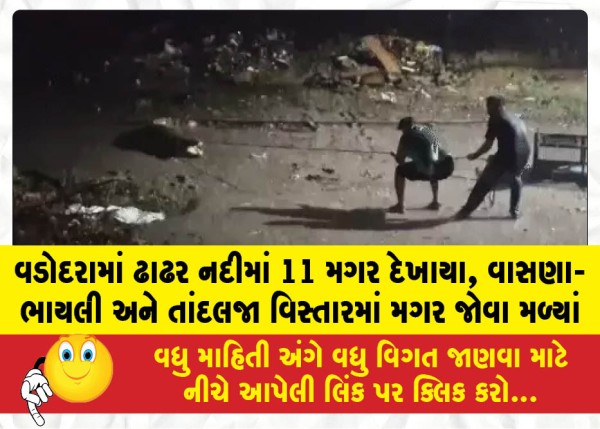 MailVadodara.com - 11-crocodiles-spotted-in-the-Dhadhar-River-in-Vadodara-crocodiles-were-seen-in-the-Vasna-Bhayli-and-Tandalja-areas