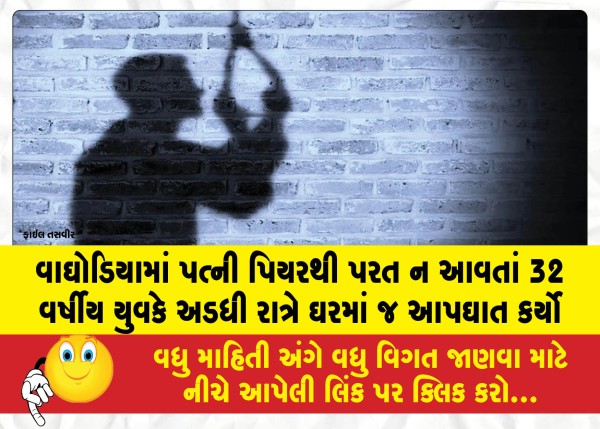 વાઘોડિયામાં પત્ની પિયરથી પરત ન આવતાં 32 વર્ષીય યુવકે અડધી રાત્રે ઘરમાં જ આપઘાત કર્યો