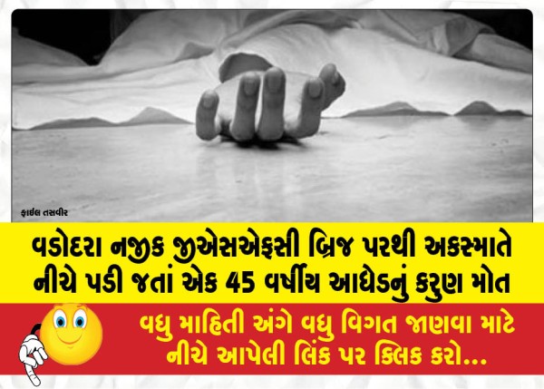 વડોદરા નજીક જીએસએફસી બ્રિજ પરથી અકસ્માતે નીચે પડી જતાં એક 45 વર્ષીય આધેડનું કરુણ મોત