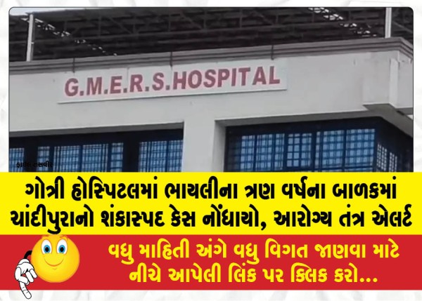 ગોત્રી હોસ્પિટલમાં ભાયલીના ત્રણ વર્ષના બાળકમાં ચાંદીપુરાનો શંકાસ્પદ કેસ નોંધાયો, આરોગ્ય તંત્ર એલર્ટ
