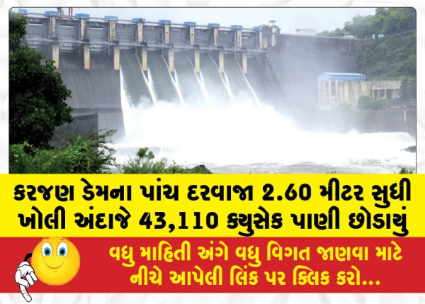 MailVadodara.com - Approximately-43110-cusecs-of-water-were-released-from-the-Karjan-Dam-by-opening-five-gates-up-to-2-60-meters
