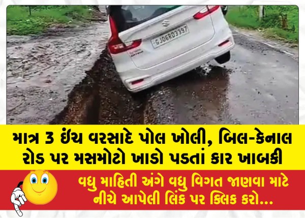 MailVadodara.com - Just-3-inches-of-rain-exposed-the-poor-quality-of-work-a-car-plunged-into-a-massive-pothole-on-the-Bil-Canal-Road