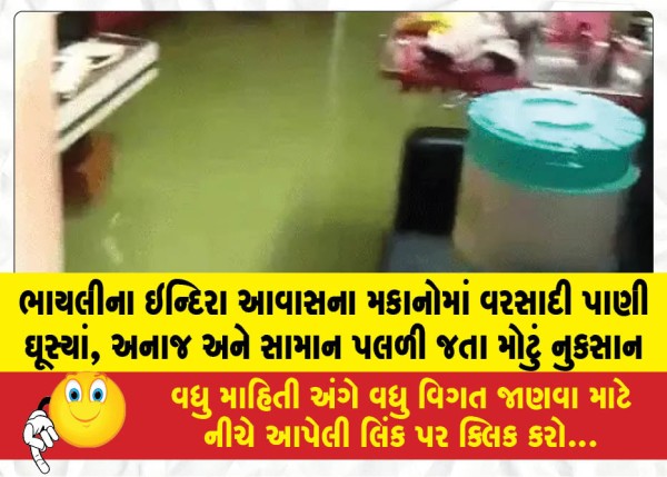 MailVadodara.com - Rainwater-entered-the-Indira-Awas-houses-in-Bhayli-causing-significant-damage-as-grain-and-belongings-got-soaked