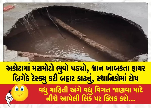 MailVadodara.com - A-massive-sinkhole-opened-up-in-Akota-the-fire-brigade-rescued-a-dog-that-had-fallen-into-it-sparking-anger-among-locals
