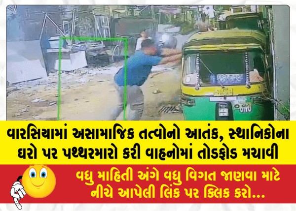 MailVadodara.com - Reign-of-terror-by-anti-social-elements-in-Warasiya-locals-homes-pelted-with-stones-and-vehicles-vandalized
