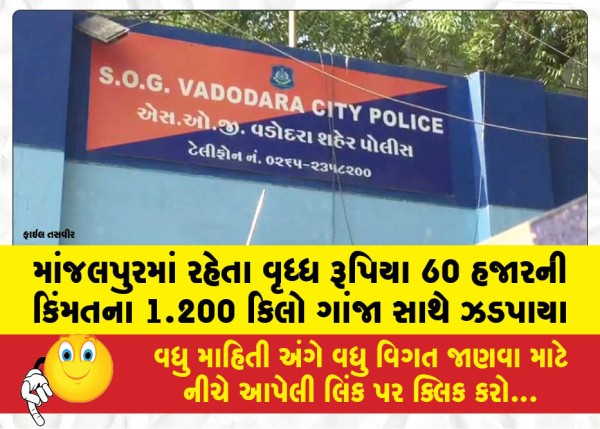 MailVadodara.com - Elderly-man-from-Manjalpur-caught-with-1-200-kg-of-cannabis-worth-60000