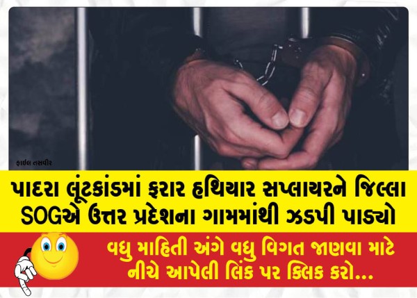 MailVadodara.com - The-District-SOG-apprehended-the-absconding-weapon-supplier-involved-in-the-Padra-robbery-case-from-a-village-in-Uttar-Pradesh