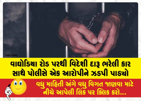 MailVadodara.com - The-police-apprehended-an-accused-person-with-a-car-loaded-with-foreign-liquor-on-Waghodia-Road