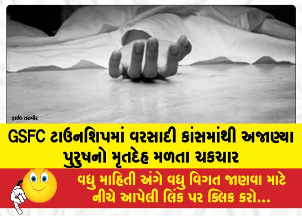 MailVadodara.com - Sensation-as-unidentified-mans-body-found-in-stormwater-drain-at-GSFC-Township