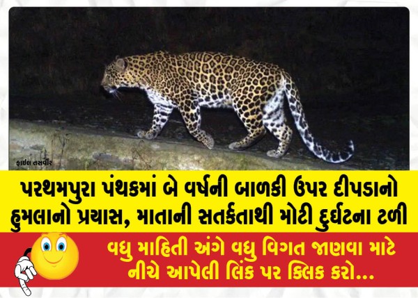 MailVadodara.com - Leopard-attempts-to-attack-two-year-old-girl-in-Parathampura-area-major-tragedy-averted-thanks-to-mothers-alertness