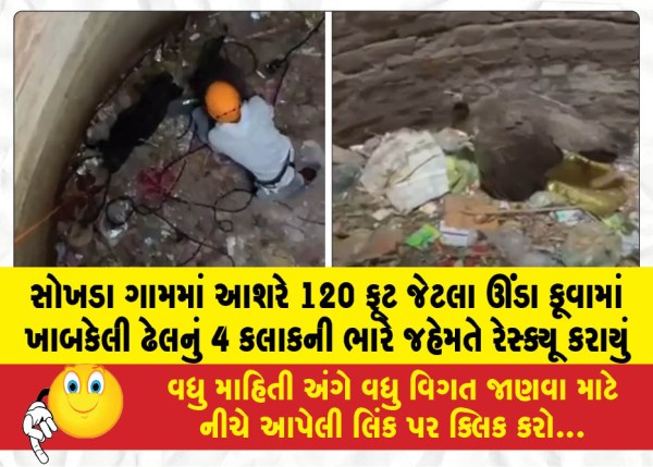 MailVadodara.com - A-peahen-that-had-fallen-into-a-well-approximately-120-feet-deep-in-Sokhda-village-was-rescued-after-four-hours-of-strenuous-effort