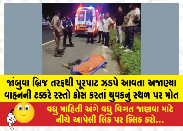 MailVadodara.com - A-young-man-died-on-the-spot-after-being-hit-by-an-unidentified-vehicle-speeding-from-the-direction-of-Jambuva-Bridge-while-he-was-crossing-the-road